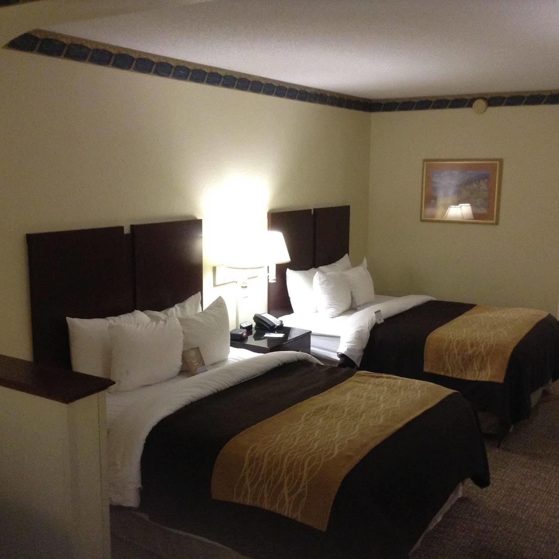 Comfort Inn & Suites Ftjackson Maingate Columbia Kültér fotó