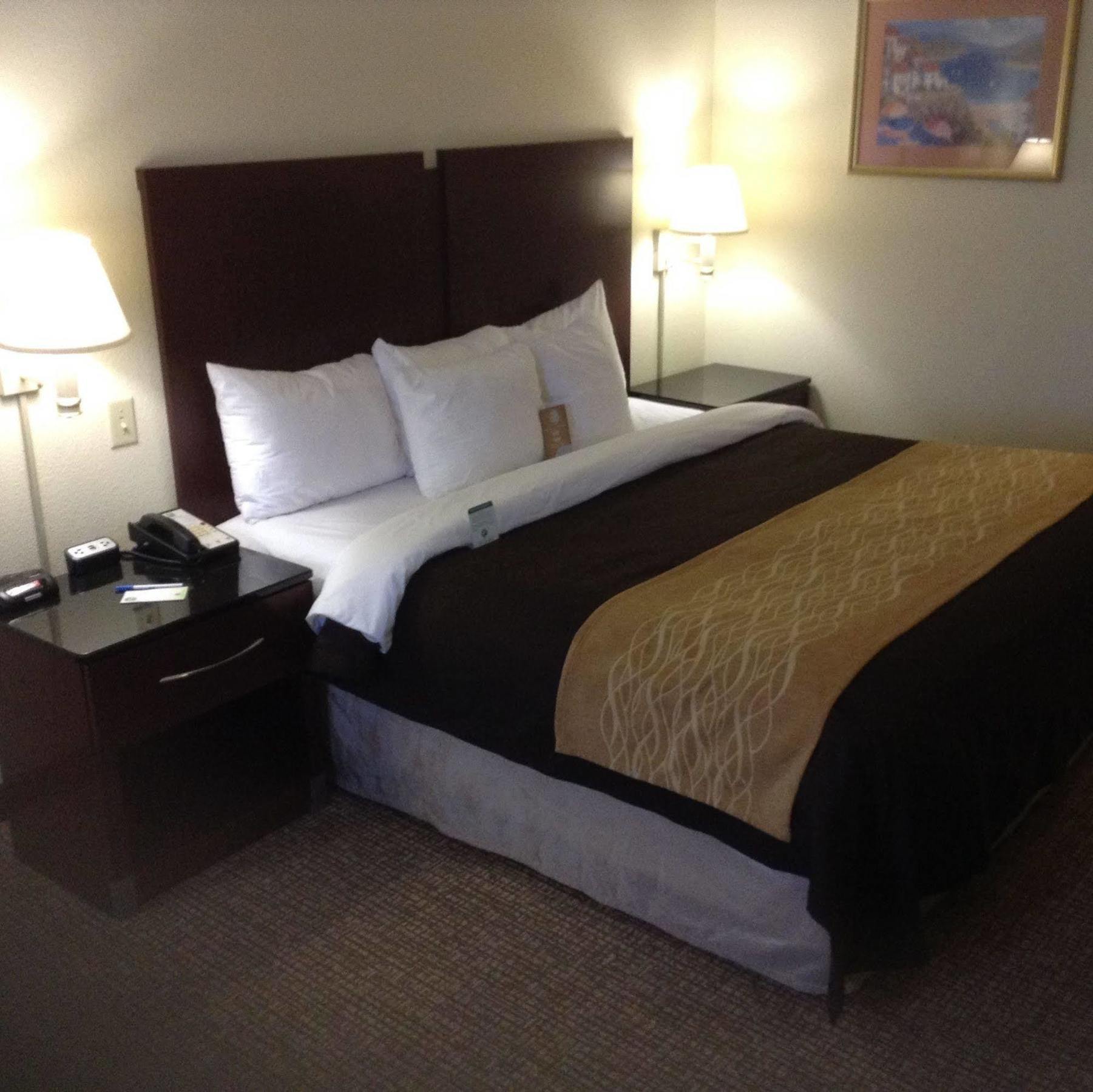 Comfort Inn & Suites Ftjackson Maingate Columbia Kültér fotó